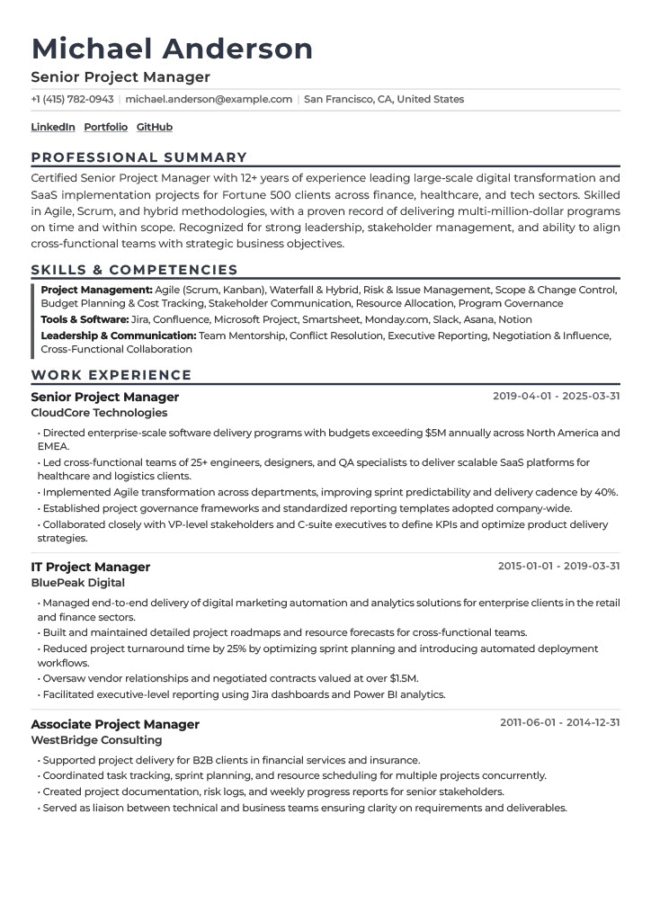 Professional template preview